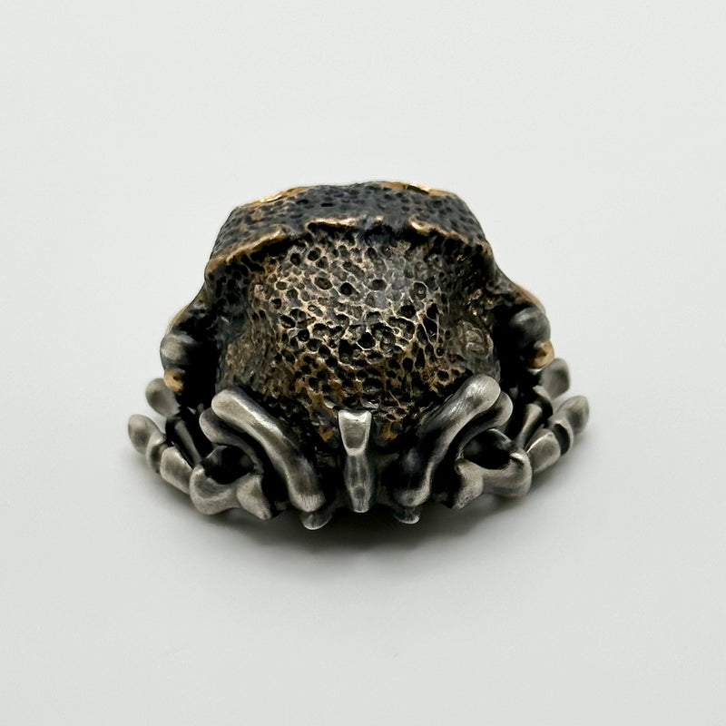 Phase Objects Toad-Hanya Worry Stone Bronze/Silver