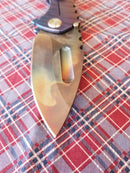 Medford Genesis Praetorian